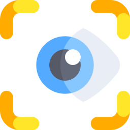 Vision